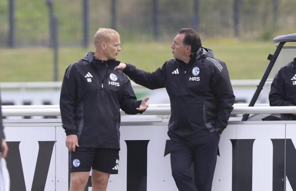 Nicht mehr auf Schalke: Marc Wilmots (rechts) und Karel Geraerts.