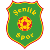 Castrop Senlik-Spor Logo