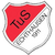 TuS Echthausen II Logo
