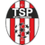 Türkiyemspor Plettenberg II Logo