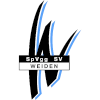 SpVgg SV Weiden  Logo