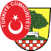 Türkischer SV Halver Logo