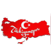 Türkiyemspor Haspe Logo